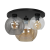 mlp6589$h.png